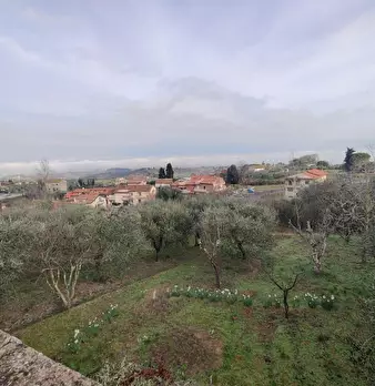 Foto annuncio 82