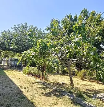 Foto annuncio 37