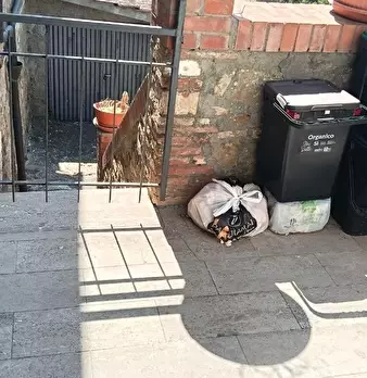 Foto annuncio 16
