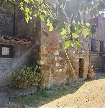 Foto annuncio 6