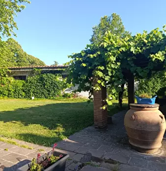Foto annuncio 9