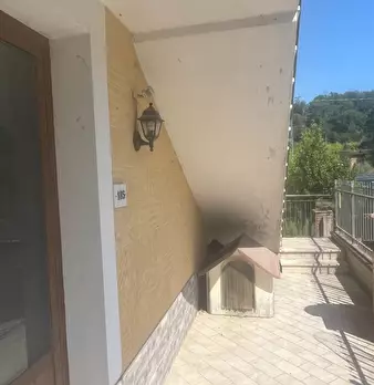 Foto annuncio 6