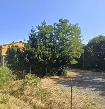 Foto annuncio 31
