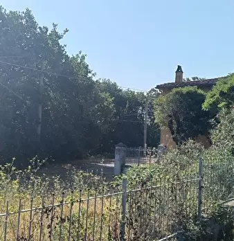 Foto annuncio 29