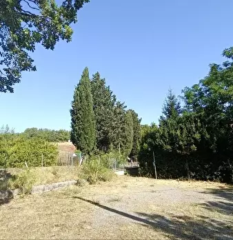 Foto annuncio 40