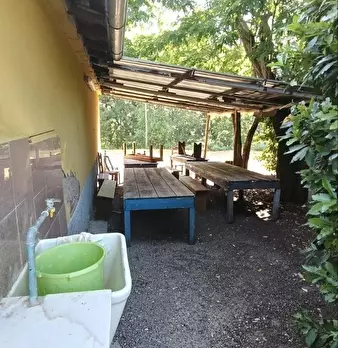 Foto annuncio 35