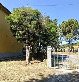 Foto annuncio 34