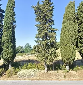Foto annuncio 33