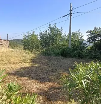 Foto annuncio 30