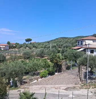 Foto annuncio 36