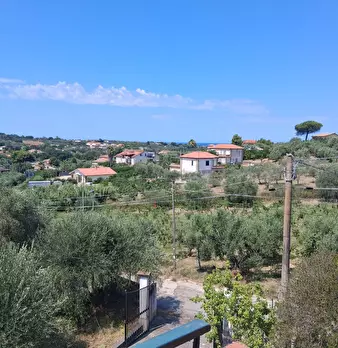 Foto annuncio 68