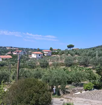 Foto annuncio 39