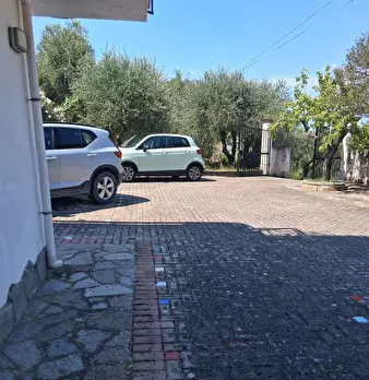 Foto annuncio 137