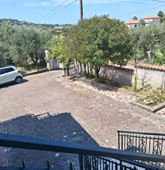 Foto annuncio 72