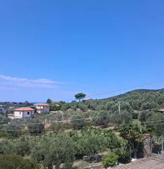Foto annuncio 37