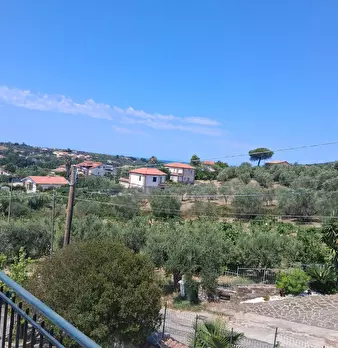Foto annuncio 43