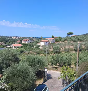 Foto annuncio 71