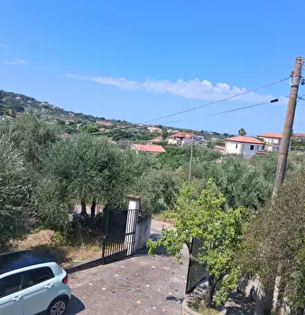 Foto annuncio 114