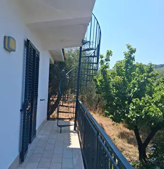Foto annuncio 109