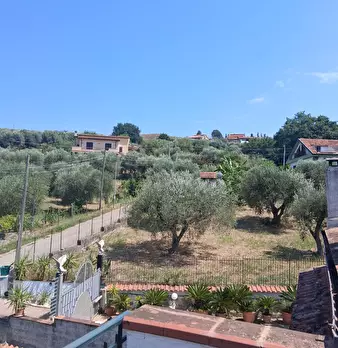 Foto annuncio 45