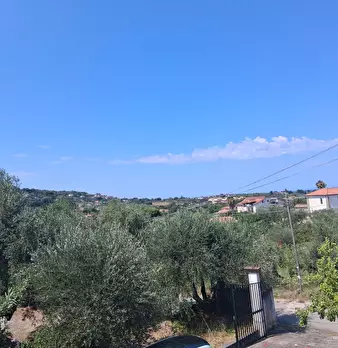 Foto annuncio 107