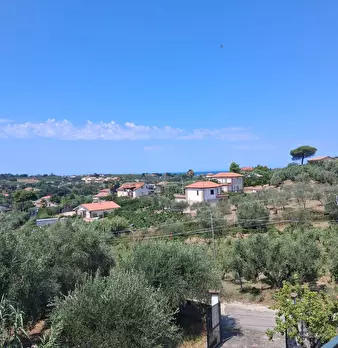 Foto annuncio 62