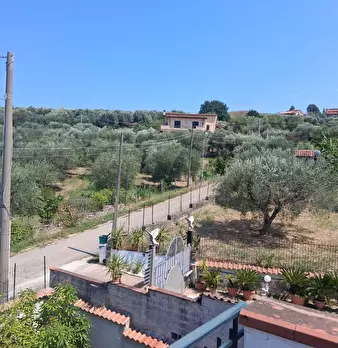 Foto annuncio 44