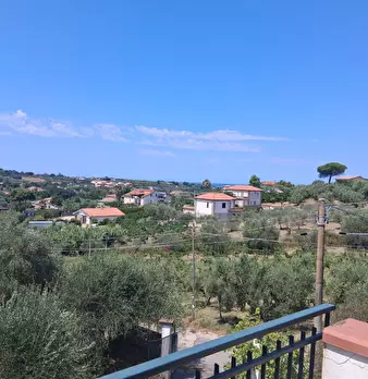 Foto annuncio 21