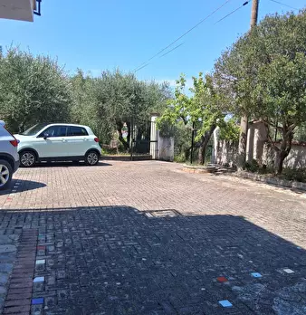 Foto annuncio 126