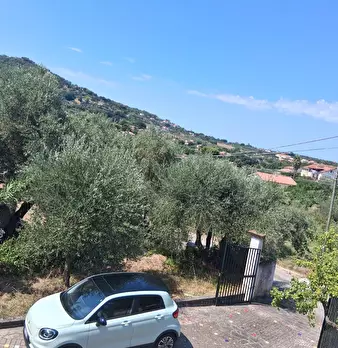 Foto annuncio 120