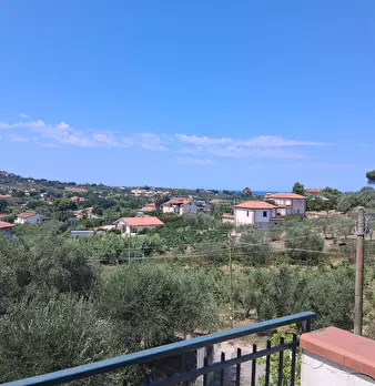 Foto annuncio 7