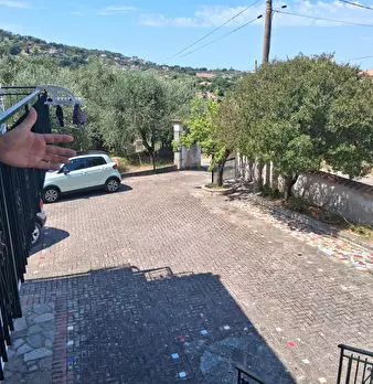 Foto annuncio 78