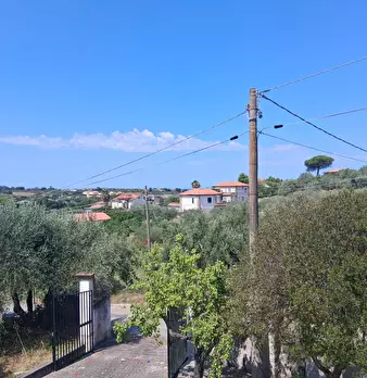 Foto annuncio 115