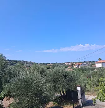 Foto annuncio 106