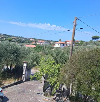 Foto annuncio 113