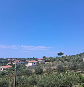 Foto annuncio 38