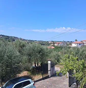 Foto annuncio 116