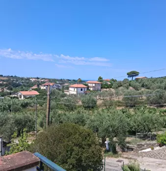 Foto annuncio 46
