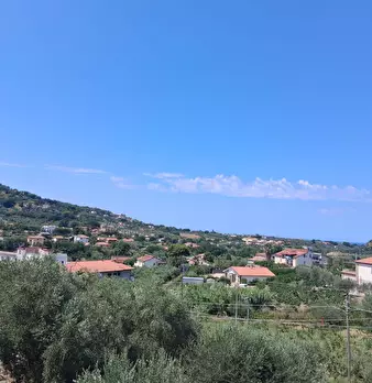 Foto annuncio 61