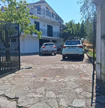 Foto annuncio 146