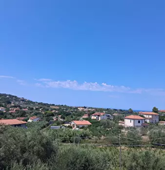 Foto annuncio 66