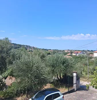 Foto annuncio 111