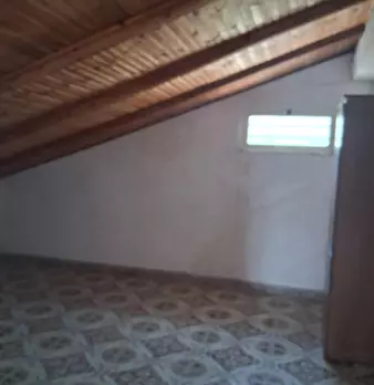 Foto annuncio 47