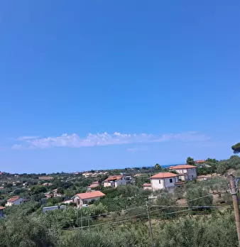 Foto annuncio 67