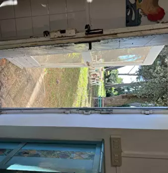 Foto annuncio 31