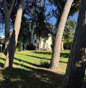 Foto annuncio 11