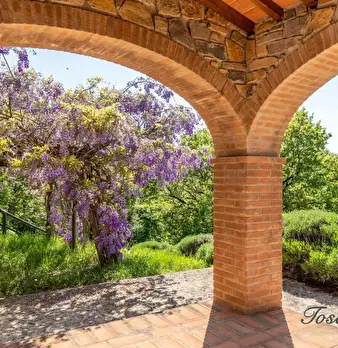 Foto annuncio 64