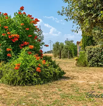 Foto annuncio 67