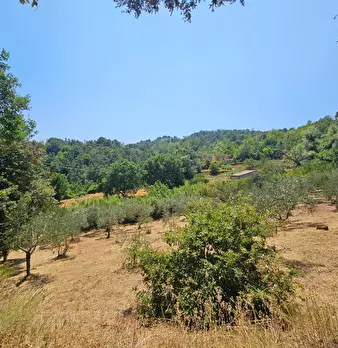 Foto annuncio 11