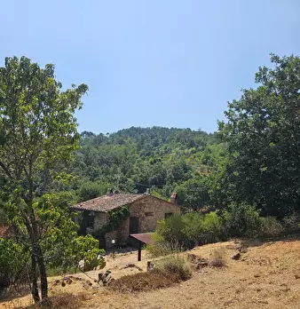 Foto annuncio 16